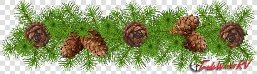 Pinecone Clipart Greens   Pinecone Garland Clipart  HD Png DownloadTransparent PNG