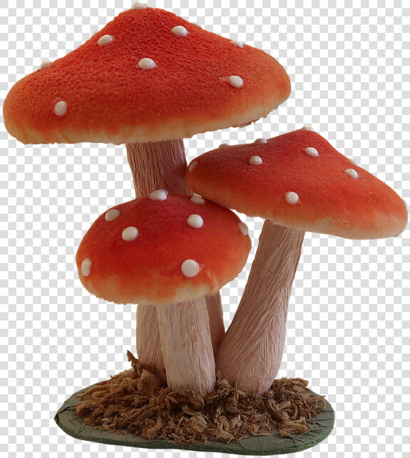 Mushroom  Fly Agaric  Forest  Nature  Autumn  Toadstool   Shiitake  HD Png DownloadTransparent PNG