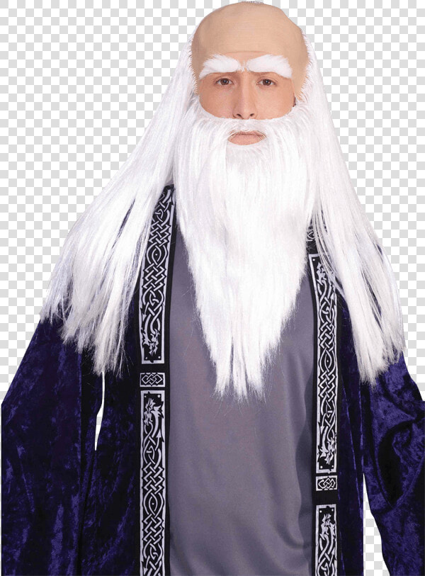 Medieval Wizard Disguise Set   Bald Guys With Long Beards  HD Png DownloadTransparent PNG