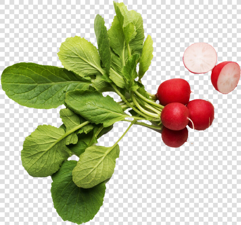 Radish   Marie  39 s Dressing Market Reserve  HD Png DownloadTransparent PNG