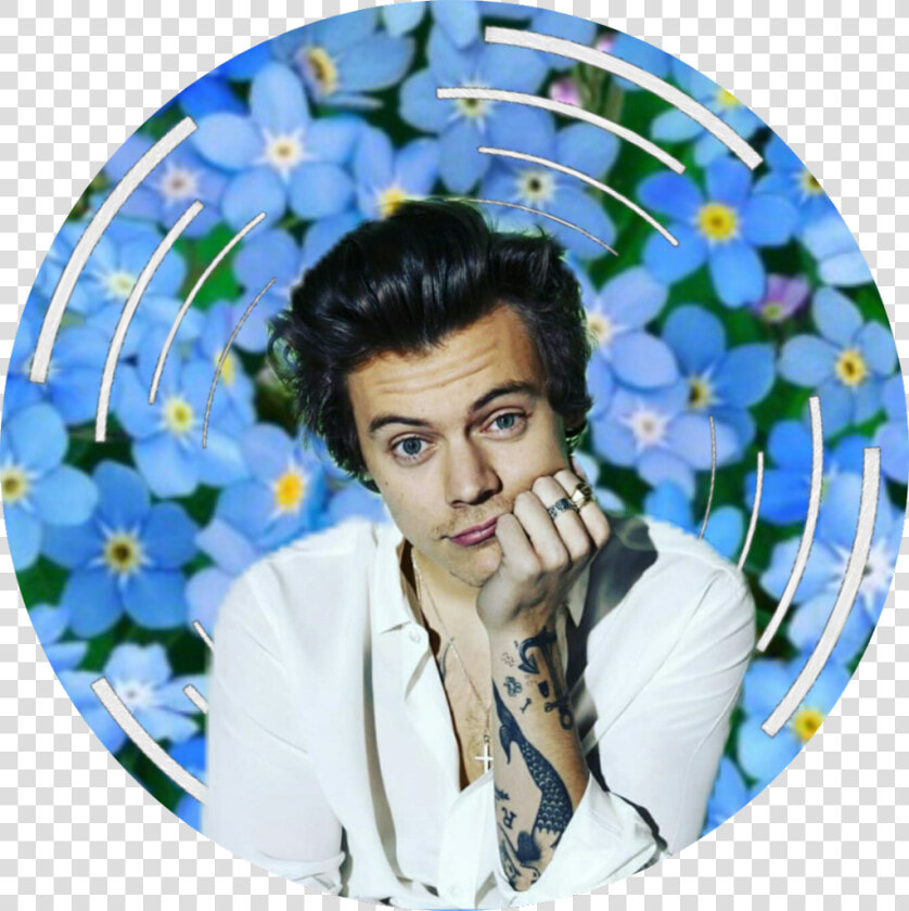 Transparent Harry Styles Transparent Png   Harry Styles As Prince Eric  Png DownloadTransparent PNG