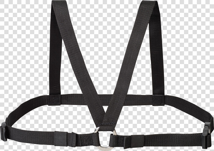 Chest Harness  HD Png DownloadTransparent PNG