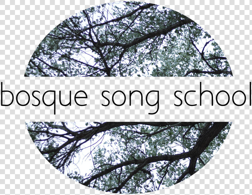 Bosque Song School   Tree  HD Png DownloadTransparent PNG