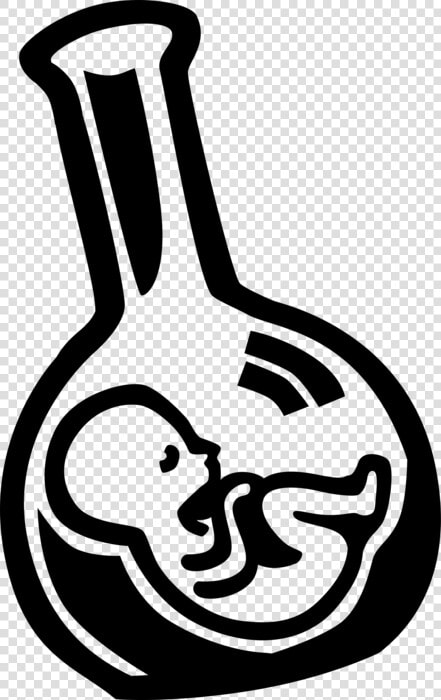 Vector Illustration Of Fetus Prenatal Human Between   Test Tube Baby Clip Art  HD Png DownloadTransparent PNG