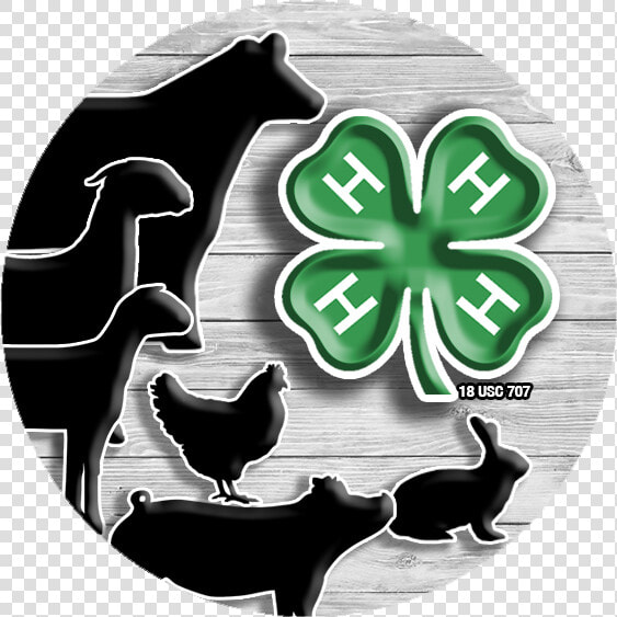 4 H Livestock Clipart  HD Png DownloadTransparent PNG