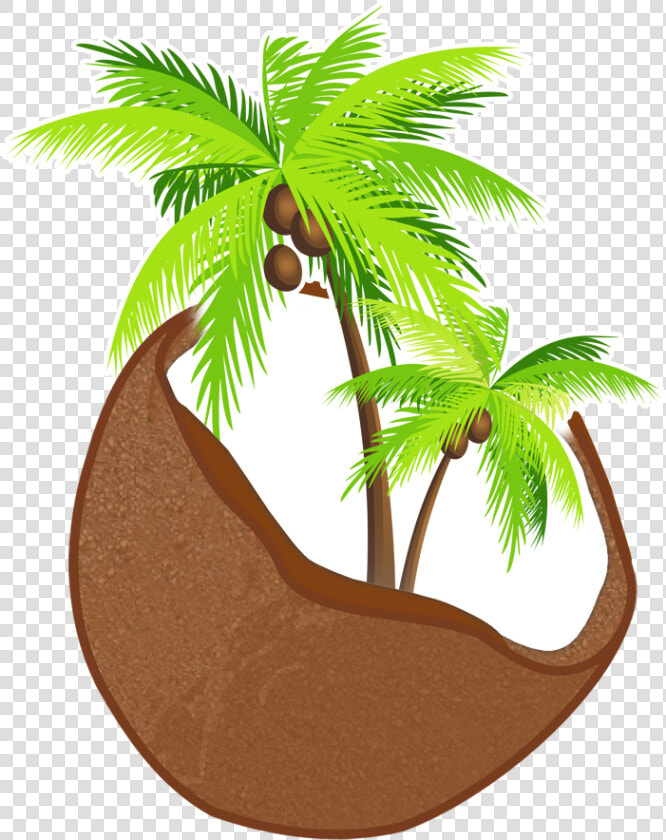 Previous Item Depositphotos 7197997 L Next Item Southeastern   Transparent Background Coconut Tree Png  Png DownloadTransparent PNG