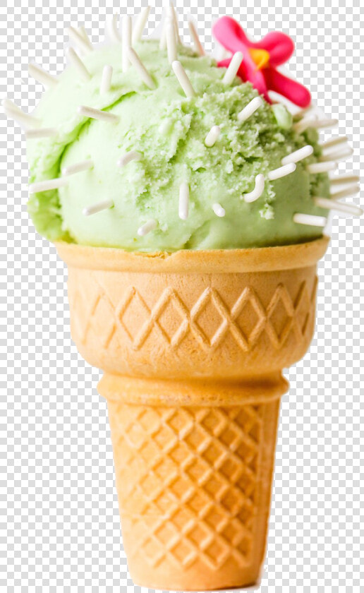 Cone Ice Cream Png Photo Background   Cactus Ice Cream Cone  Transparent PngTransparent PNG