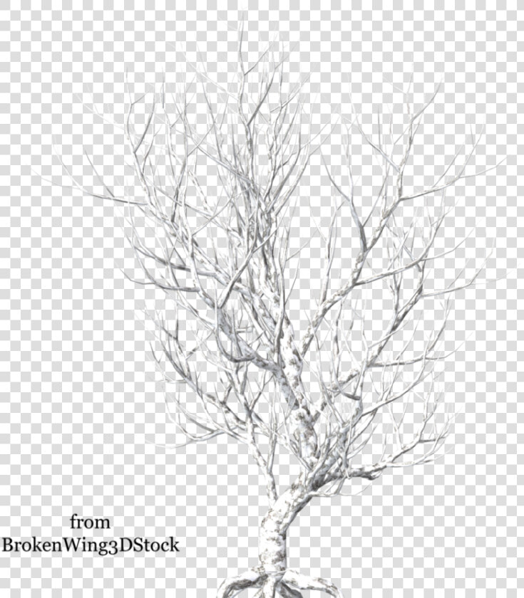 Winter By Brokenwing Dstock   Broken Tree Png Hd  Transparent PngTransparent PNG