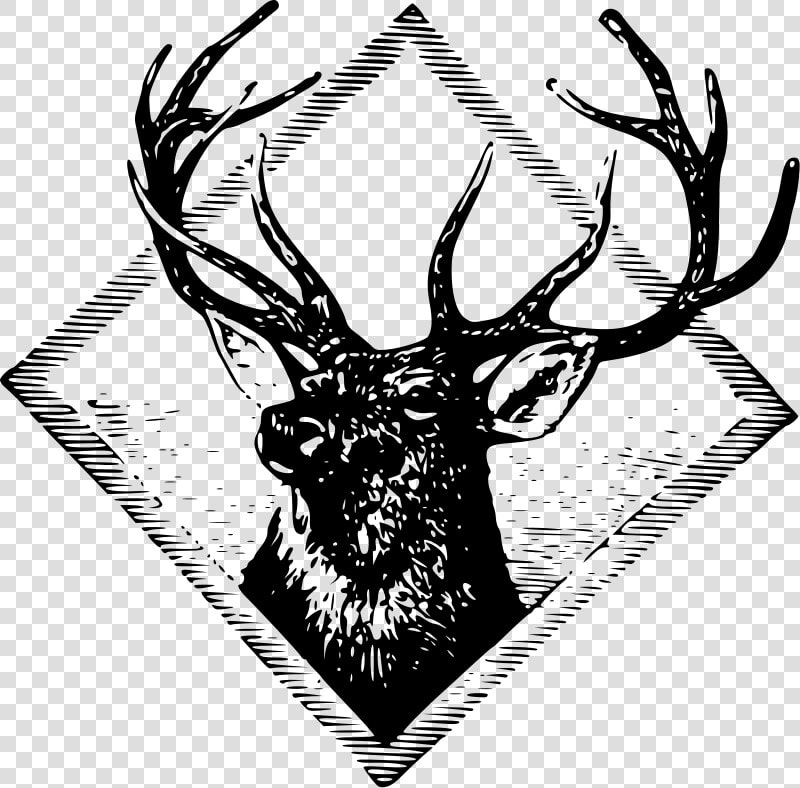 Stag   Logo Rusa Keren  HD Png DownloadTransparent PNG