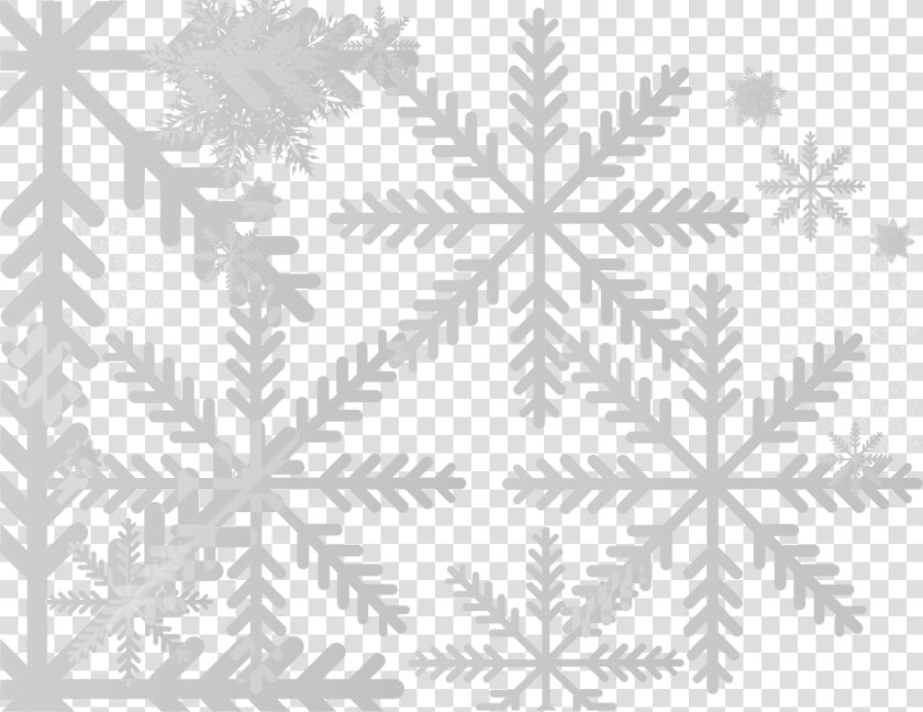 Snowflake Euclidean Vector   Portable Network Graphics  HD Png DownloadTransparent PNG