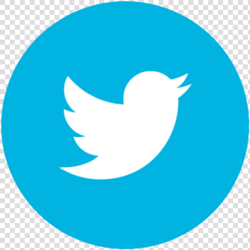 Round Twitter Icon White Bird On Transparent Background   Circle Twitter Icon Vector  HD Png DownloadTransparent PNG