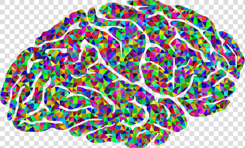 Magnetite In Humans Brain  HD Png DownloadTransparent PNG