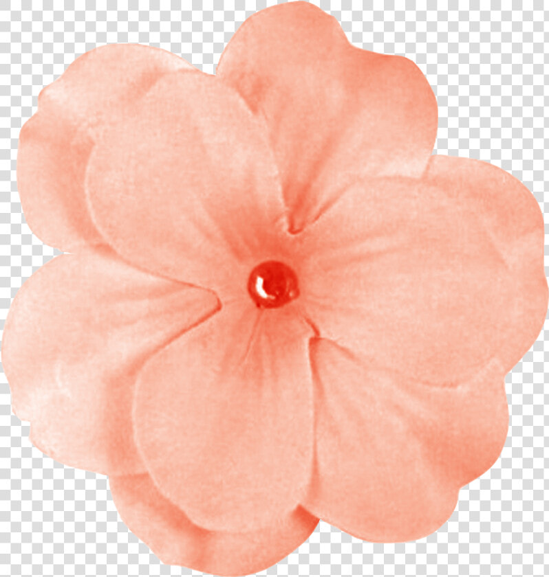 Peach Flowers Png Banner Black And White Stock   Transparent Peach Flower Png  Png DownloadTransparent PNG