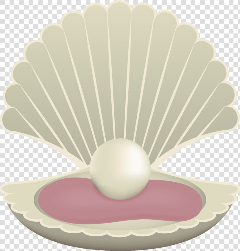 Pearl Great Shell Cartoon Drawing Free Transparent   Cartoon Pearl  HD Png DownloadTransparent PNG