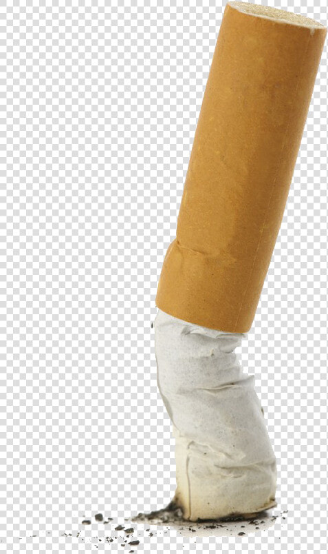 Realistic Cigarette Png Free Pic   Squished Cigarette Butt  Transparent PngTransparent PNG