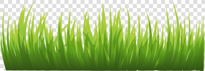 Grass Png Image  Green Grass Png Picture   Grass Png Background  Transparent PngTransparent PNG