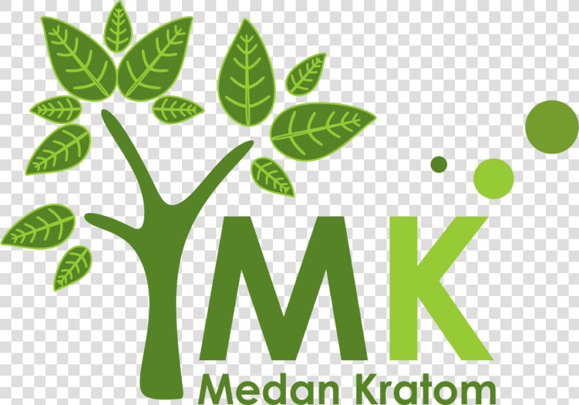 Logo Daun Kratom   Png Download   Logo Daun Ketum  Transparent PngTransparent PNG