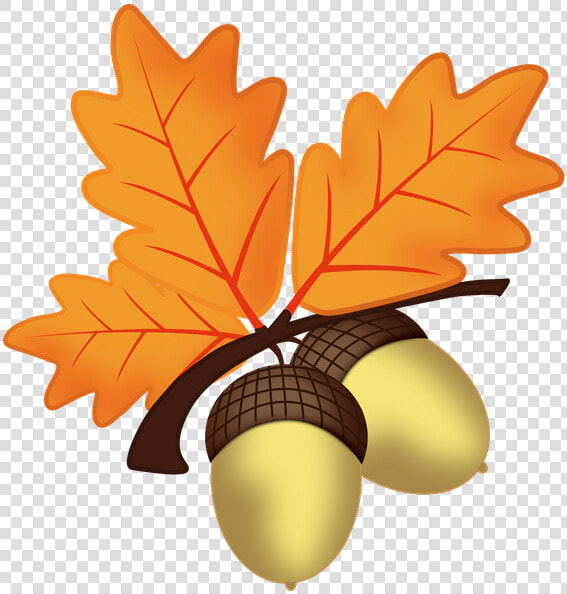 Bellota Otoño   Oak Leaves Clip Art  HD Png DownloadTransparent PNG