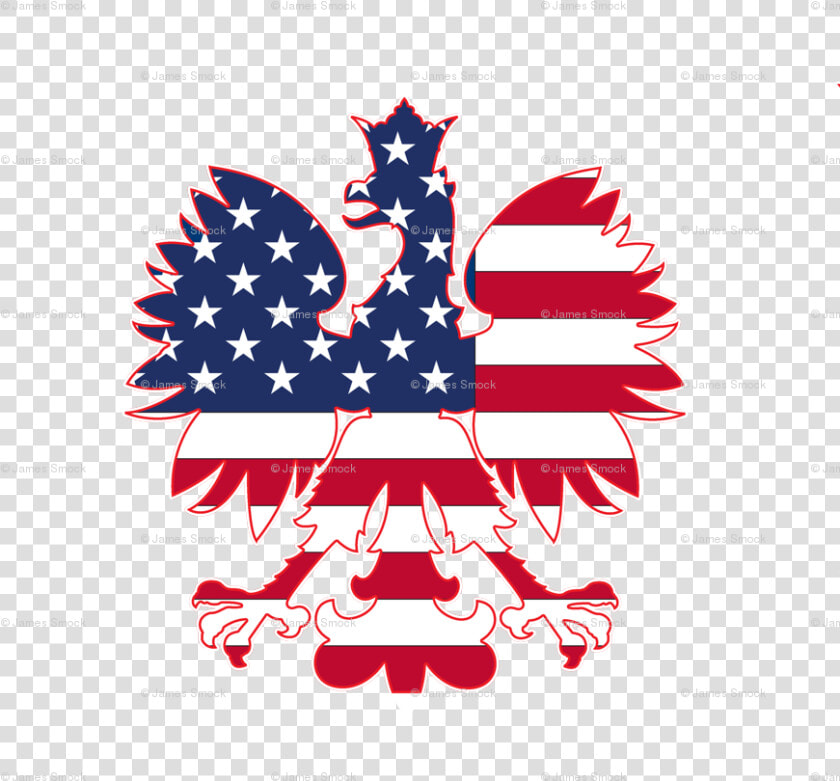 Transparent American Flag Png Image   Polish Eagle American Flag  Png DownloadTransparent PNG