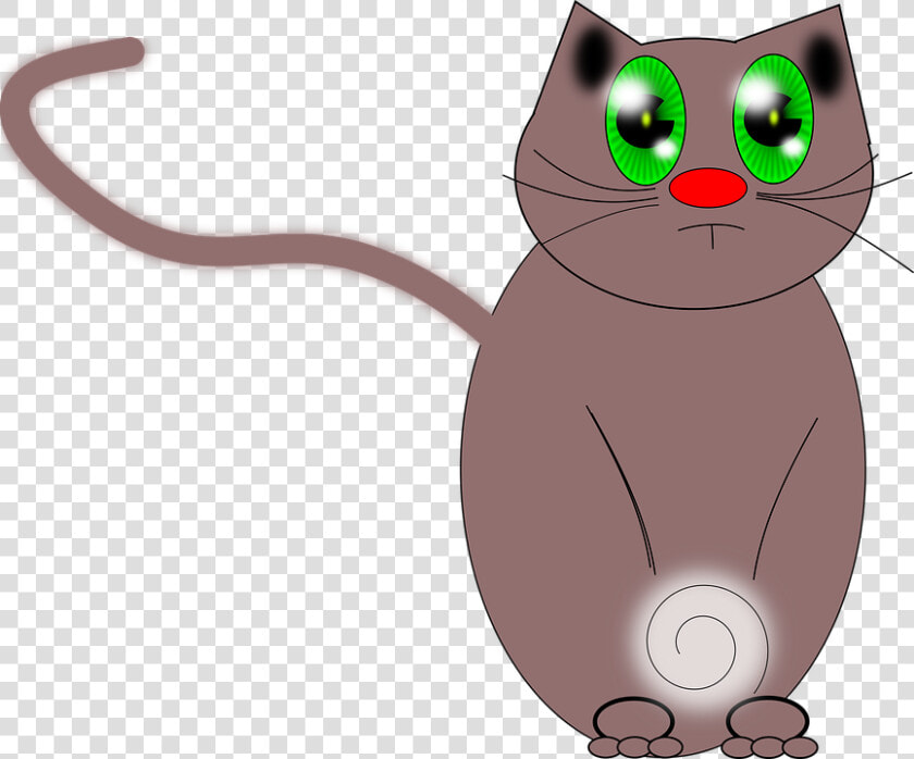 Drawing  Vector  Cat  Green Eyes   Domestic Short haired Cat  HD Png DownloadTransparent PNG