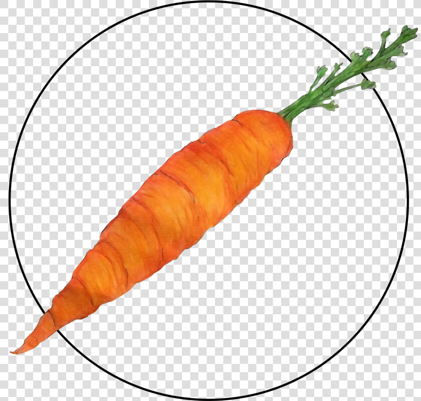 Attribute Motif Carrot  HD Png DownloadTransparent PNG