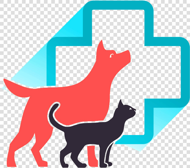 Veterinarian Cedar Hill Mo   Pet Clinic  HD Png DownloadTransparent PNG