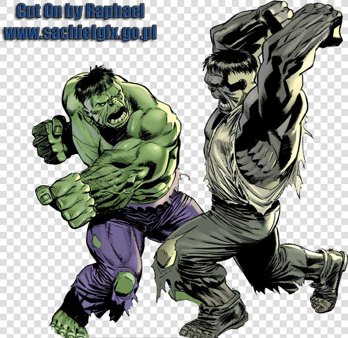 Incredible Hulk Tempest Fugit  HD Png DownloadTransparent PNG