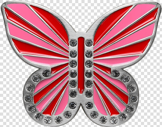 Swallowtail Butterfly  HD Png DownloadTransparent PNG