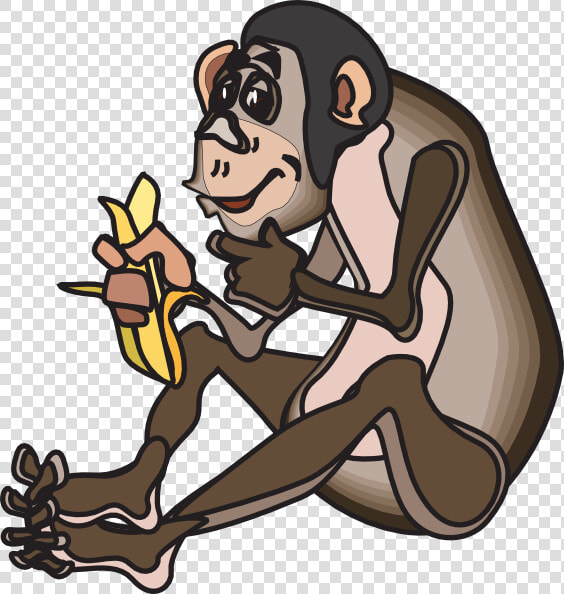 Monkey Eating Banana Png  Transparent PngTransparent PNG