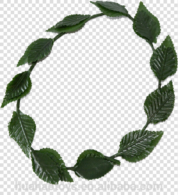 Carnival Party Accessory Gold And Green Leaf Roman   1 Aminocyclopropane 1 Carboxylate Acc Deaminase  HD Png DownloadTransparent PNG