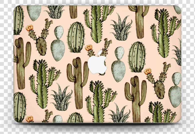 Cactus Mix Skin Macbook Air 13”   Cactus  HD Png DownloadTransparent PNG