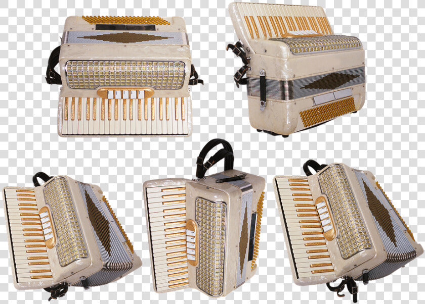 Accordion  Fur  Music  Orchestra  Philharmonic Hall   Diatonic Button Accordion  HD Png DownloadTransparent PNG