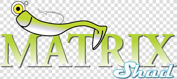 Matrix Shad  HD Png DownloadTransparent PNG