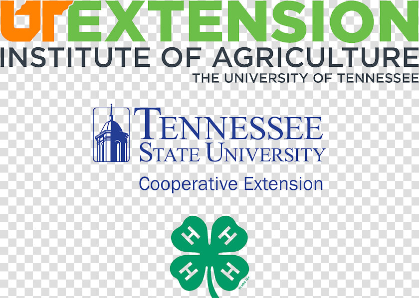 Ut Tsu 4h Avatar White   Ut Extension Office Logo  HD Png DownloadTransparent PNG