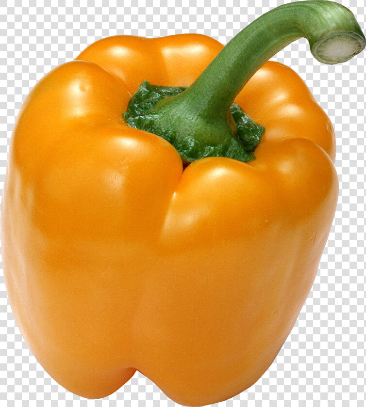 Pepper Png Image   Yellow Bell Pepper Png  Transparent PngTransparent PNG