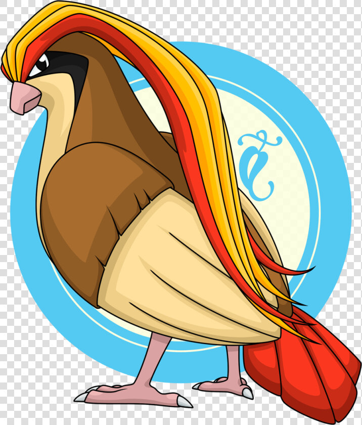 Day 3   Pidgeot   Pidgeot Pokemon  HD Png DownloadTransparent PNG