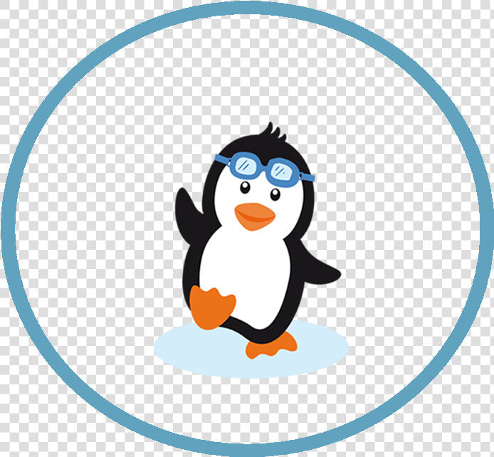 Adã©lie Penguin  HD Png DownloadTransparent PNG