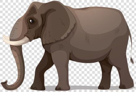 African Elephant Cartoon Illustration   Boy Riding An Elephant Clipart  HD Png DownloadTransparent PNG