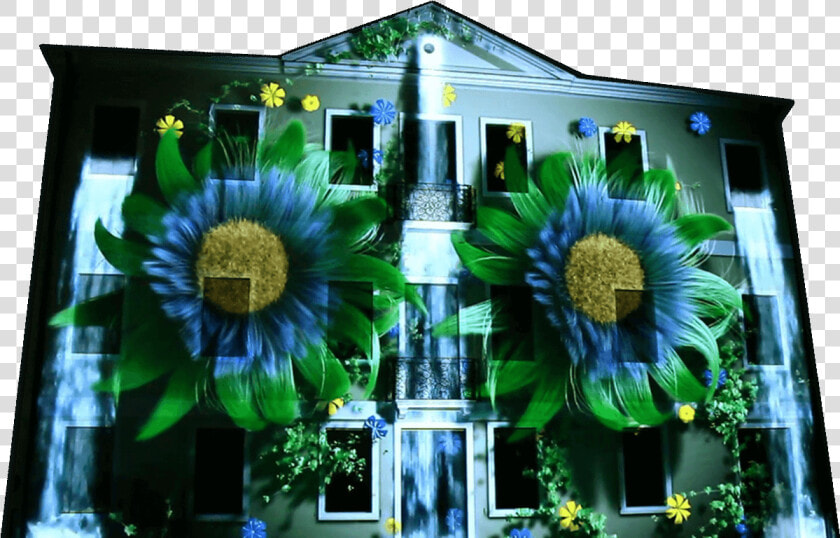 Projection Mapping Flower Design Building  HD Png DownloadTransparent PNG