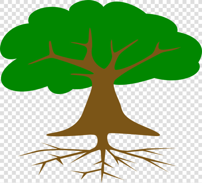 Roots Of American Democracy Tree  HD Png DownloadTransparent PNG