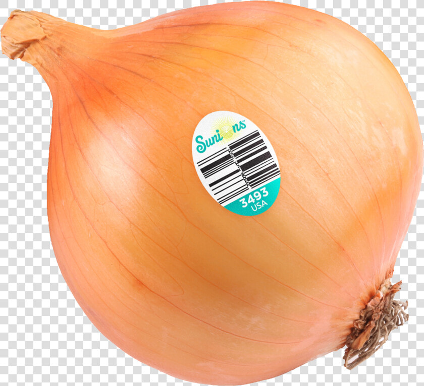 Yellow Onion Plu  HD Png DownloadTransparent PNG