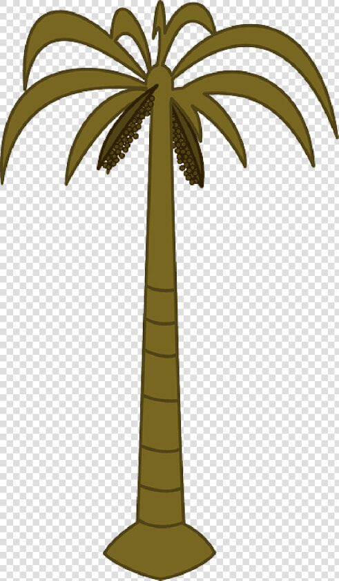 Date Palm Clipart Tropical Tree   Palm Tree Clip Art  HD Png DownloadTransparent PNG