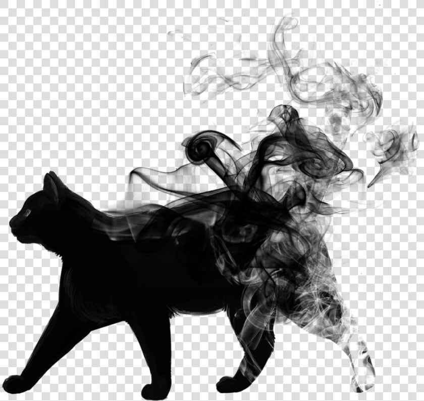  blackandwhite  cat  animal  black  smoke   Picsart Smoke Black Png  Transparent PngTransparent PNG