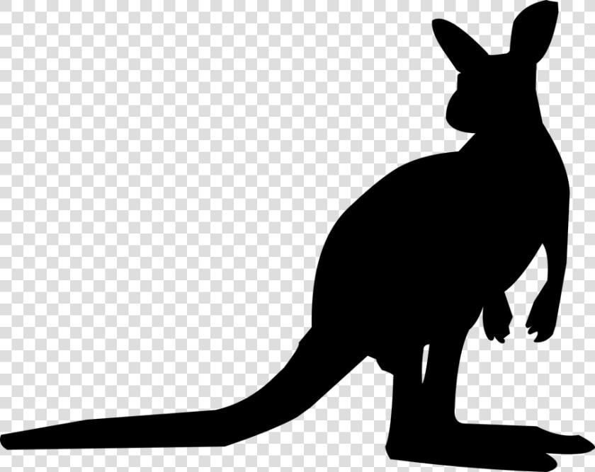 Kangaroo  Silhouette  Animal  Australia  Wildlife   Kangaroo Cartoon Silhouette  HD Png DownloadTransparent PNG