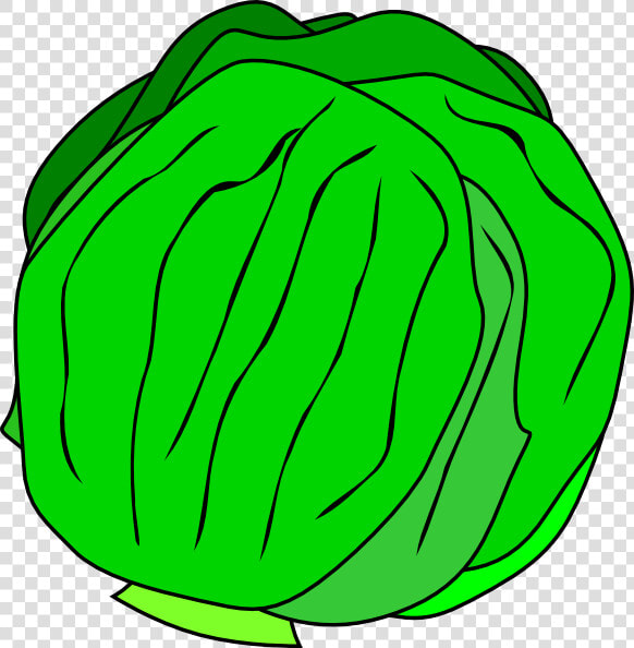 Whole Lettuce Svg Clip Arts   Lettuce Clip Art  HD Png DownloadTransparent PNG