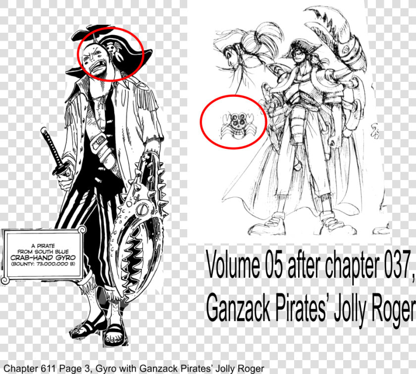 The Jolly Roger Ace Ventura  amp  Captain Hook   All Jolly Roger One Piece  HD Png DownloadTransparent PNG