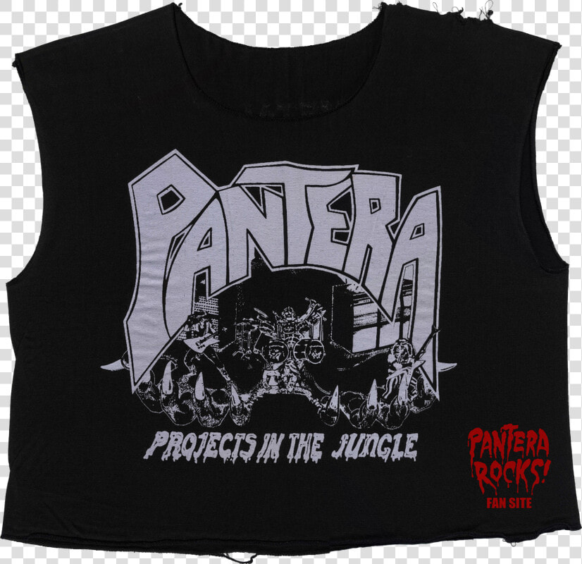 Picture   Pantera Metal Magic  HD Png DownloadTransparent PNG