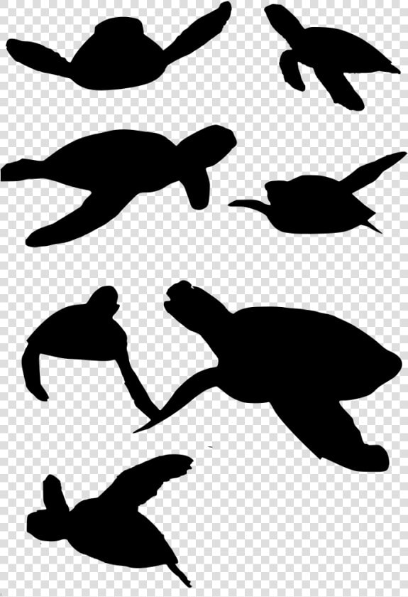 Download Png   Turtle   Sea Turtle Vector Png  Transparent PngTransparent PNG