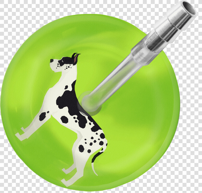 Great Dane Stethoscope Class   Dalmatian  HD Png DownloadTransparent PNG