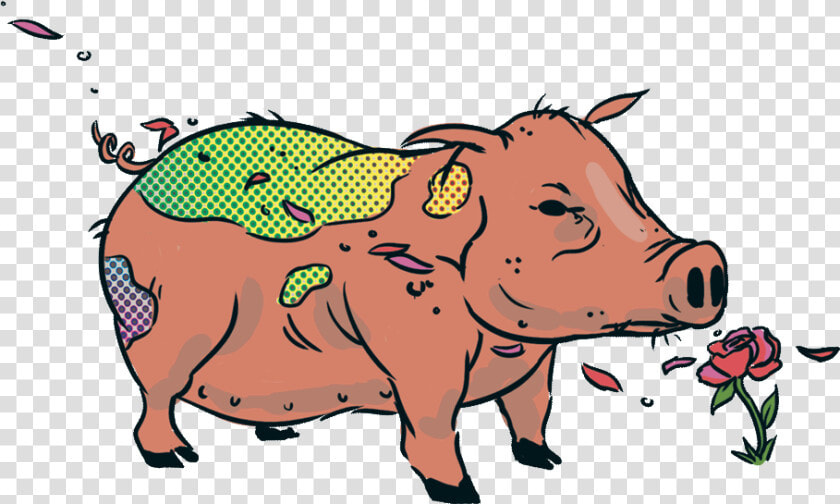 Jarrybriefs Vegan Pig   Domestic Pig  HD Png DownloadTransparent PNG